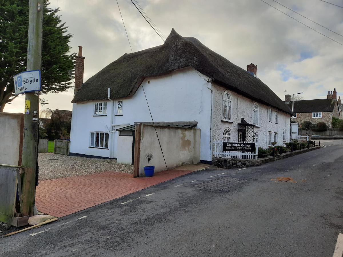 The White Cottage Colyton ภายนอก รูปภาพ