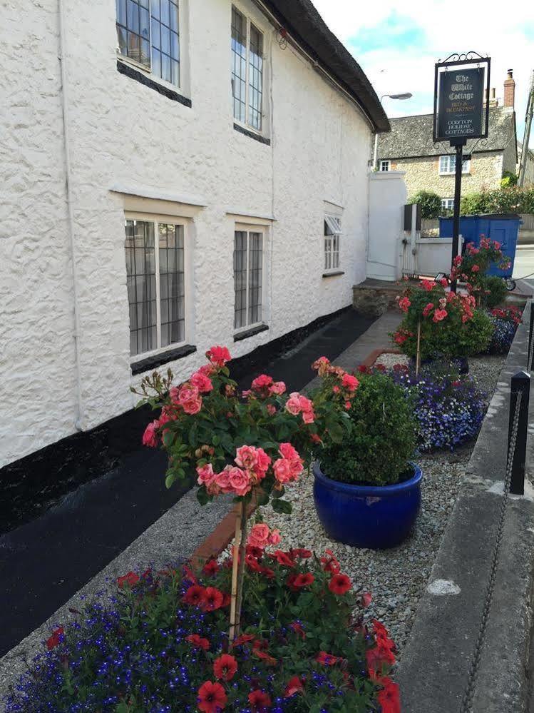The White Cottage Colyton ภายนอก รูปภาพ